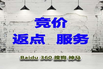专业SEM运营托管服务案例分析